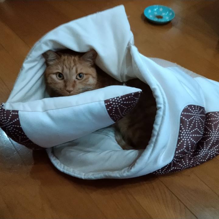 644c35d4 4c74 4af9 9205 8529e10d0b12 1625130083757