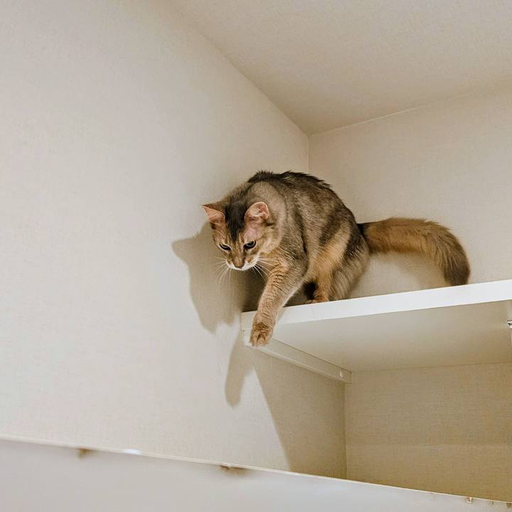 644c424e a091 4246 8f7a dedbded4cfc5 1745808328251