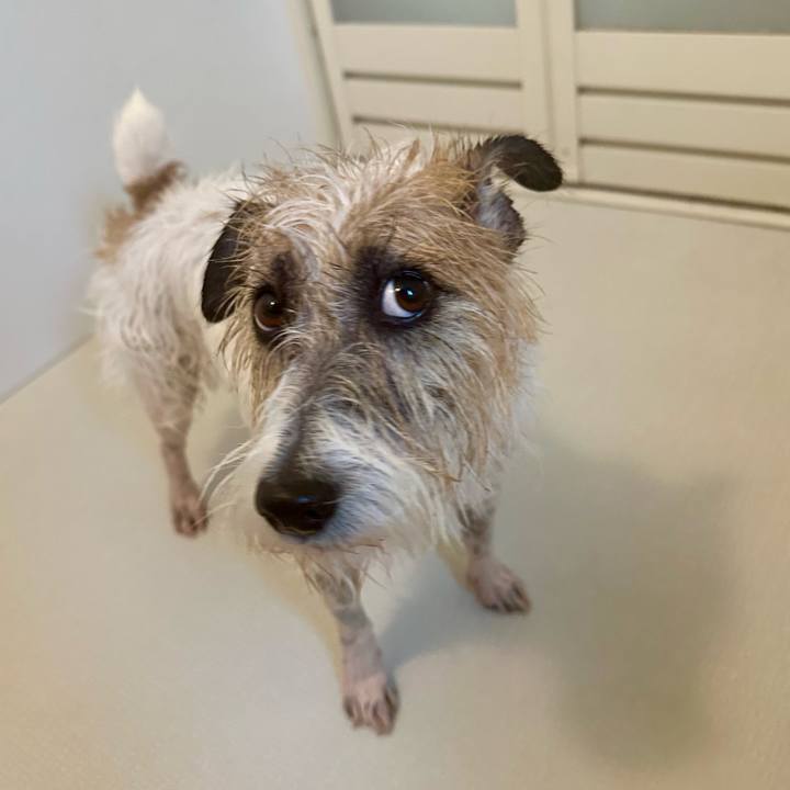 644c8b47 1a38 4842 b003 1603ed59a8f7 1731854589438