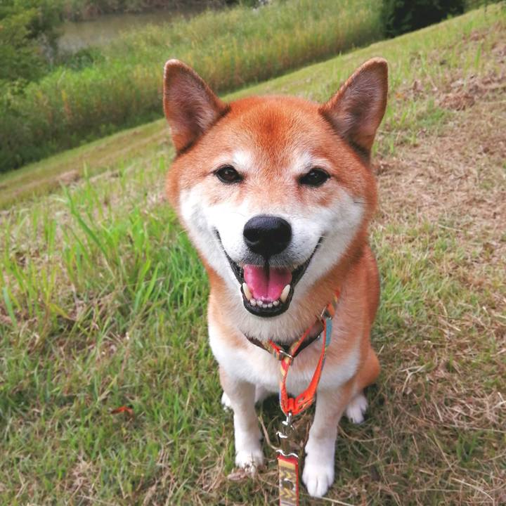 644ca48e d0fd 4233 909f 8d0d30854438 1662883108577