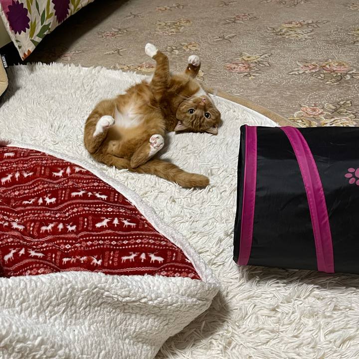 644cd749 d929 4d8d be6a 1ae10d966a50 1615641550220