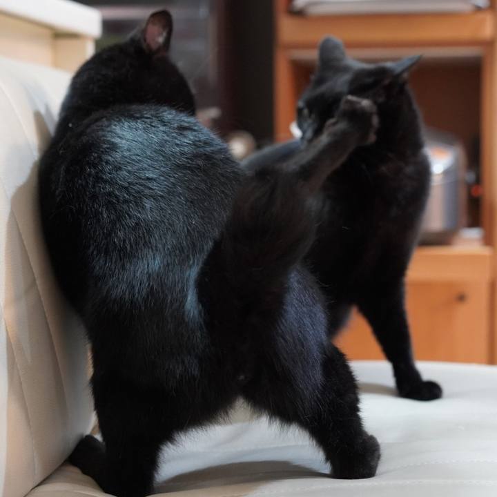 644cddbb 8271 4dbf b279 c87e77ac4e2d 1627481184324