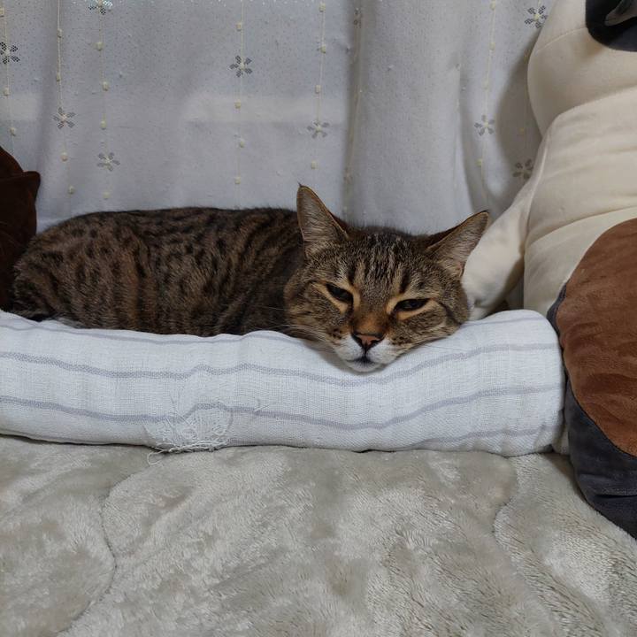 644d0cca 2a24 4c00 aee4 8526672ad333 1739396159291