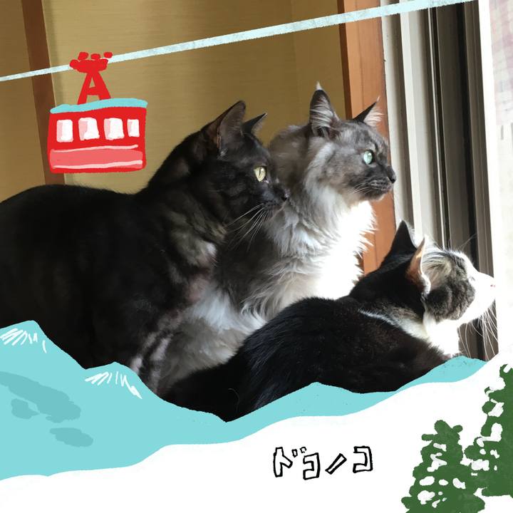 644d3bc1 1b3d 4a2c bb7c df6a17be5e1d 1706835665610