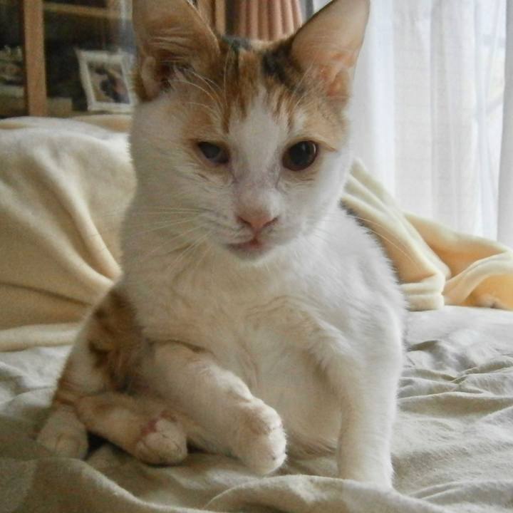 644d7581 377c 4447 b73e 11eb4c1cc67a 1635147868125