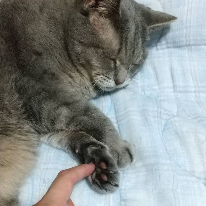 644d83dc 2b9b 4a39 982f 803b76b5bd41 1629552515368