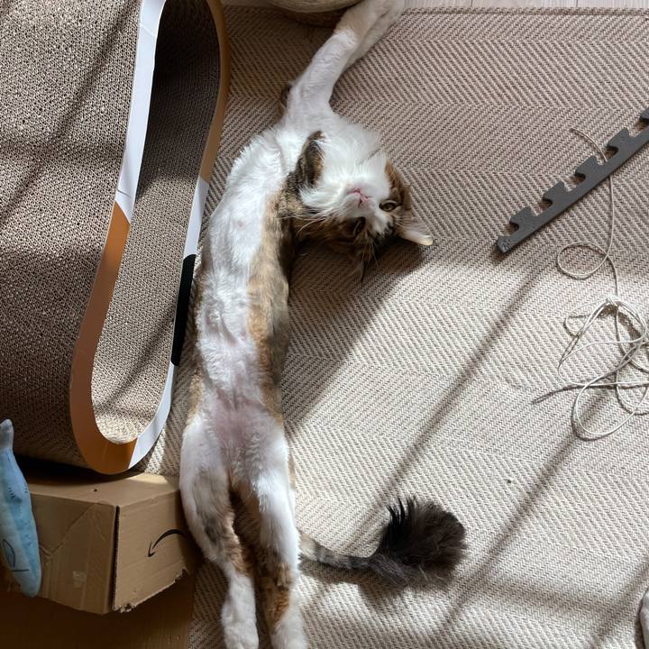 644ddb4c 73fb 4ab7 abc3 180bee6cb199 1659771758333