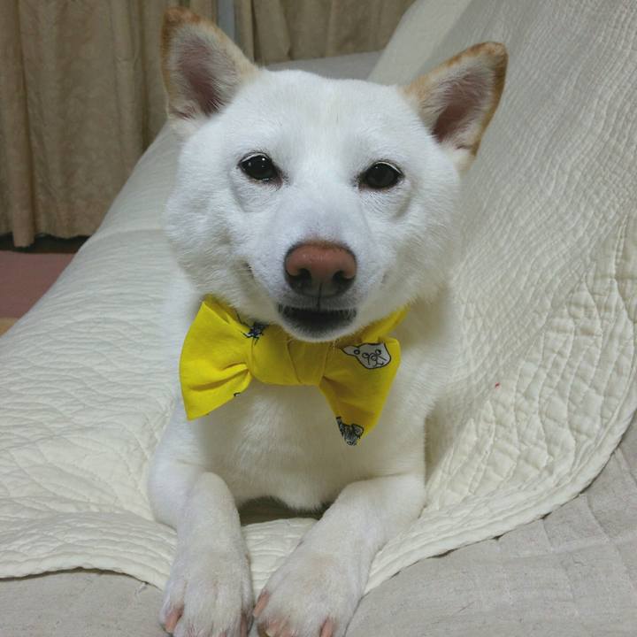 644ddcf1 c034 4326 be45 ca168d2df843 1559651618284