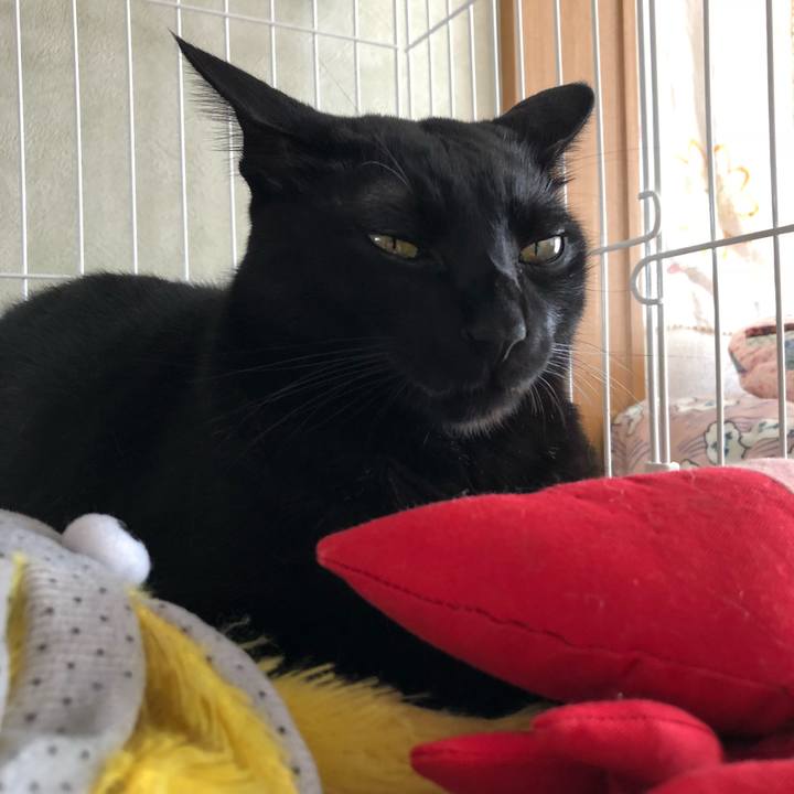 644de926 a498 436e b343 4939ba07ad66 1541820108888