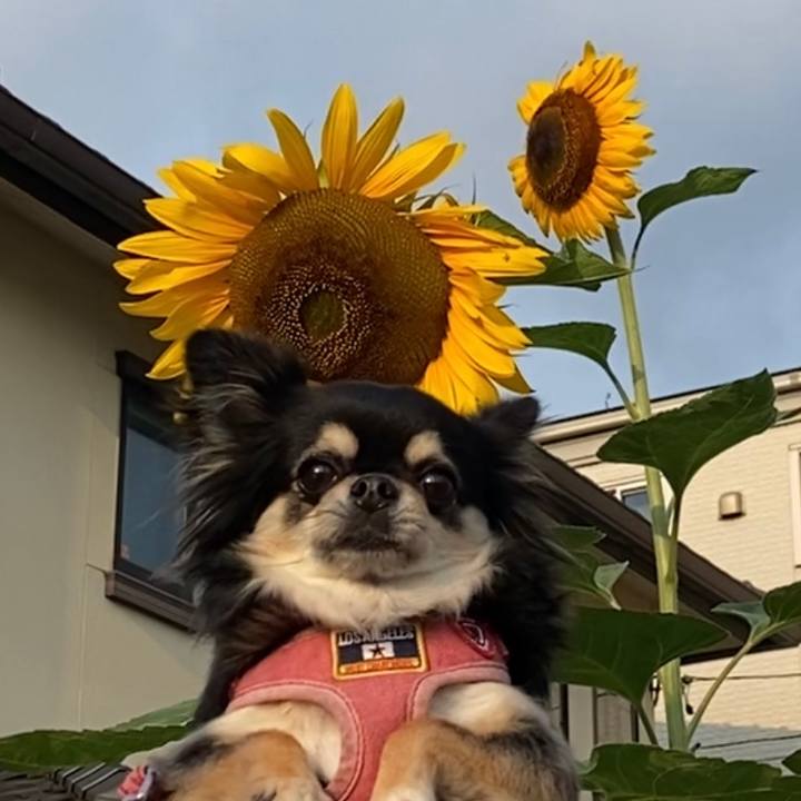 644e45a2 2f53 4538 b517 2a0689bd1b90 1627776190010