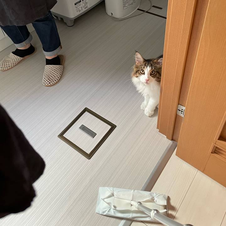 644e45bf 8fe6 49b6 a1f3 705aea9e0ca8 1640912023479