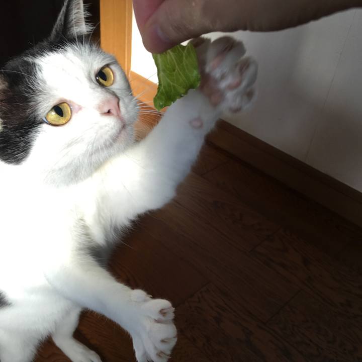 644e509d b218 4330 ab68 5b42679eb76f 1518445559606