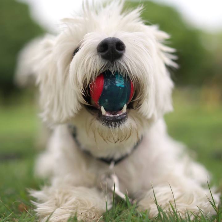 644e63ac 868f 4386 ab22 e9241c8dacd4 1535843156978