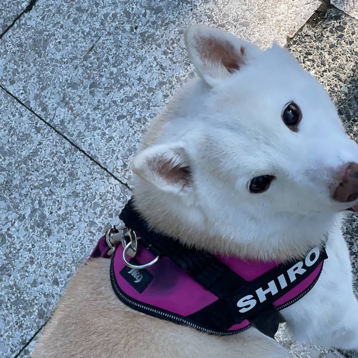 644e8c34 b194 4eb5 ac0e 7bf2bbc56993 1753101845260