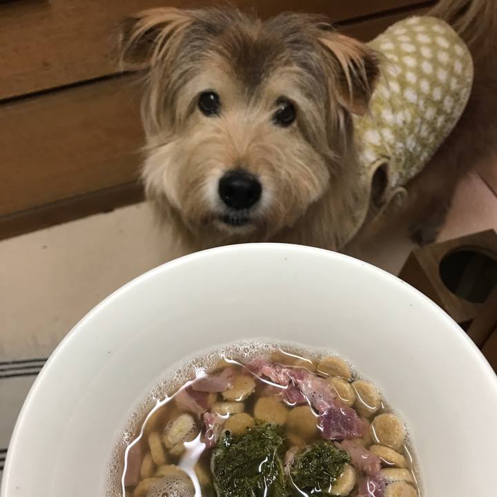 644ed257 fa92 4793 8c3c 5dee7ca83ce2 1644287844240