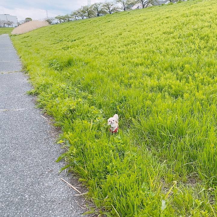 644eda6d e6cd 495f a7e3 cfdd0793a4be 1618298304114