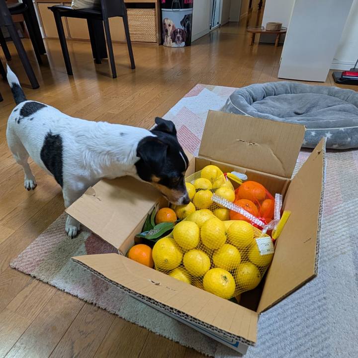 644eea5d 5886 4ce5 9467 a48e34547485 1742381033006