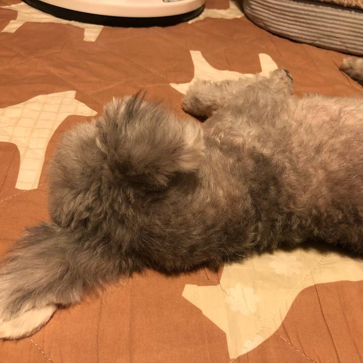 644f0bb7 87bc 4842 bb8a a87d68ea5dff 1598792225931