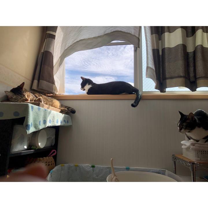 644f132c 8fe1 48e7 a73a 80fd643d53b5 1632841009506