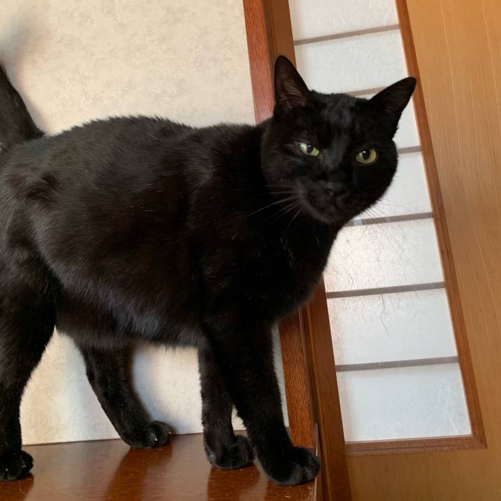 644f3499 700b 4de8 85de 837da0224648 1551835725389