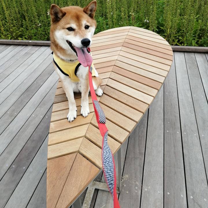 644f94e6 5ed7 442c bed2 6bda308d3fc7 1622696839301