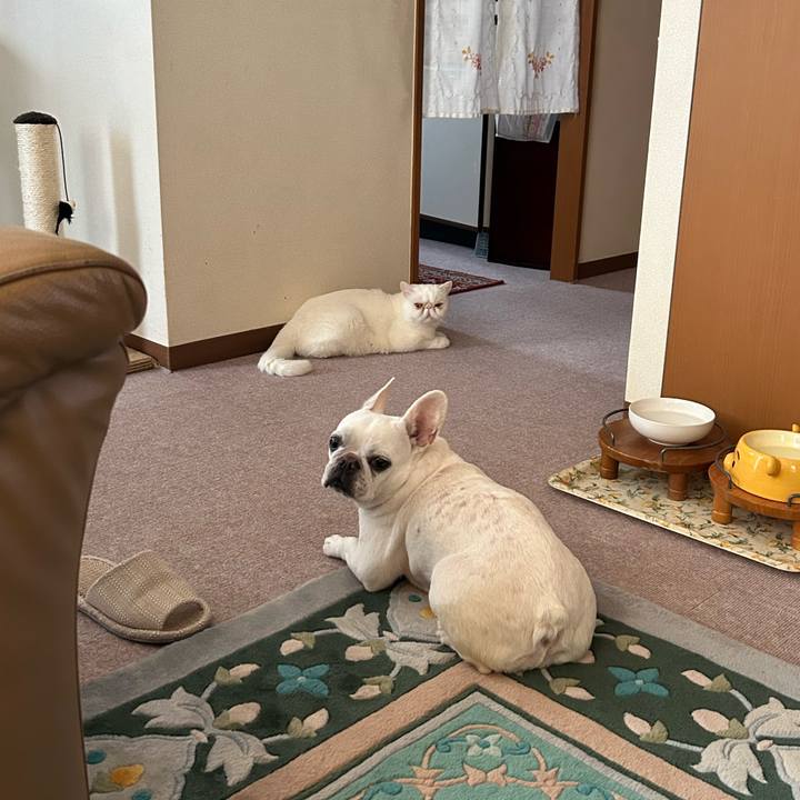 644ff8bd 4aae 4765 b96d 4dbe2a353f8c 1691372888063