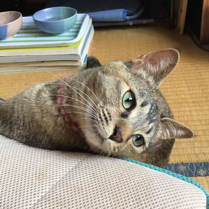 64501c11 ebde 40ba 9ccc 36c24a07923d 1591584384681