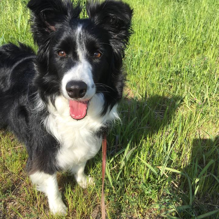 64502020 ffe0 49d4 a1ee efa0f147d889 1524292591072