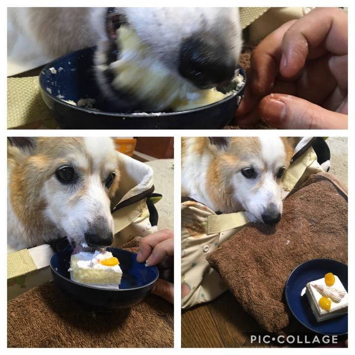 64509e05 83f8 4df6 8239 1d757ee0435d 1581753813166