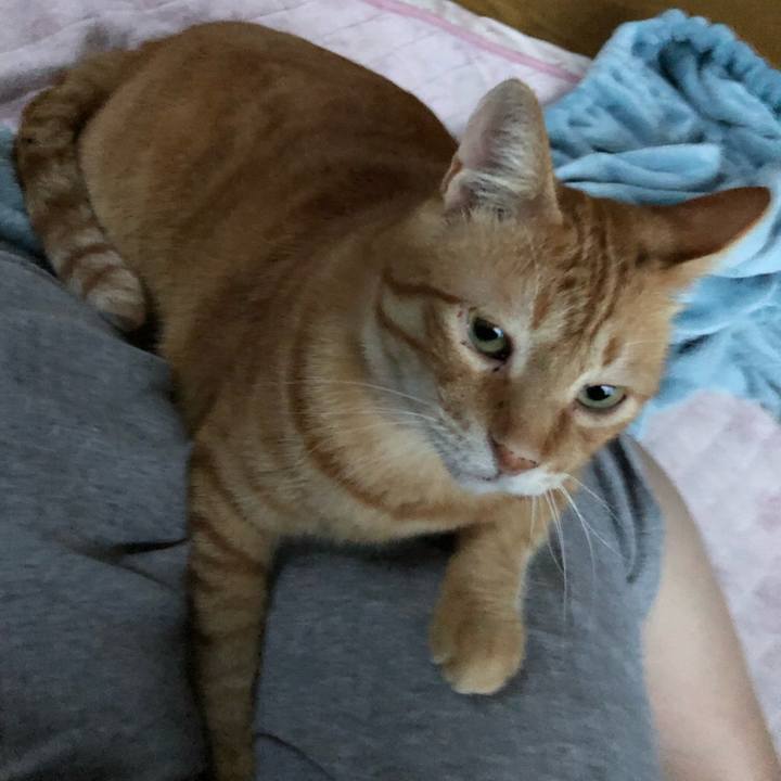 6450a361 7f0f 42be bd84 047e0b862c20 1563962789012