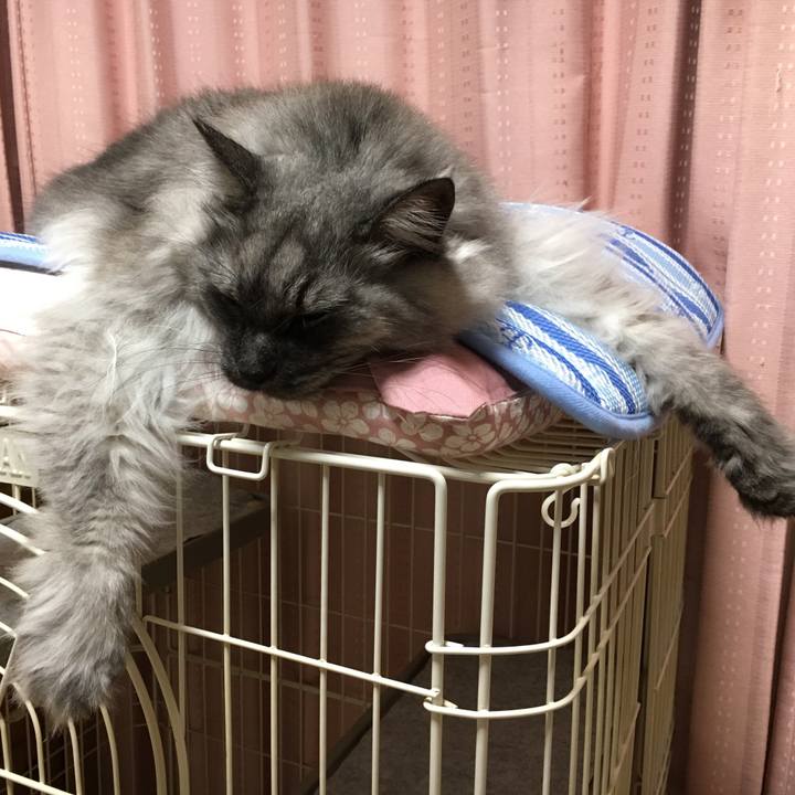 6450bca3 ee41 4967 85d2 7f82f63b467f 1555128428026