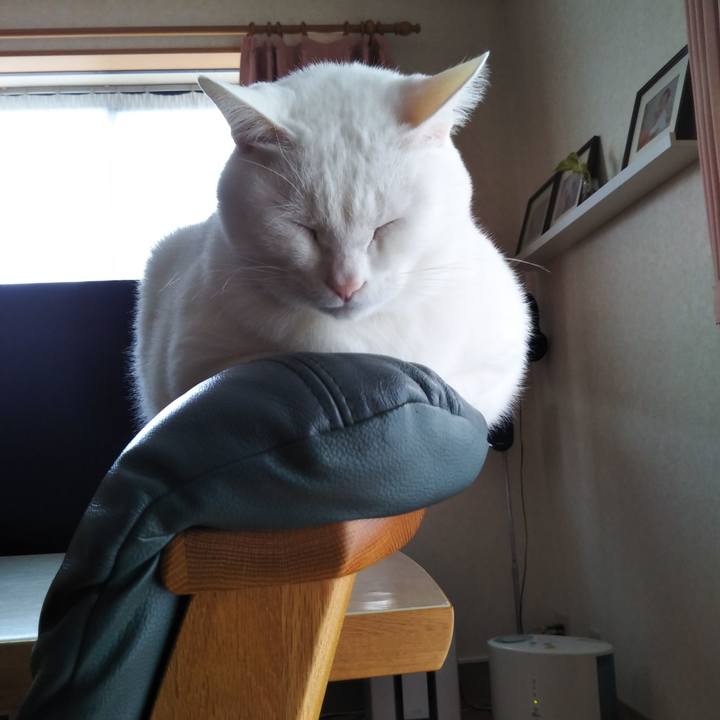 64511225 1855 4828 a421 e6c02a5a3d1c 1610412365096