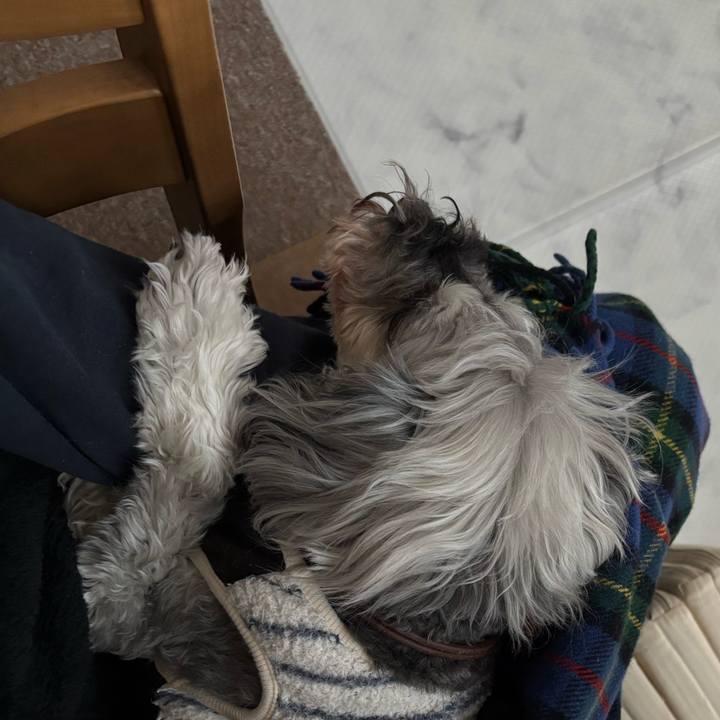 645124fd 6a0e 4ed7 86d3 19c0c8851682 1764067215111