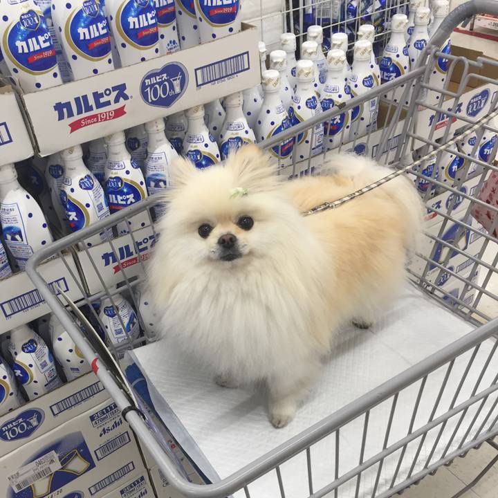 64518d41 6265 4118 ba90 2d6209555f40 1557815421819