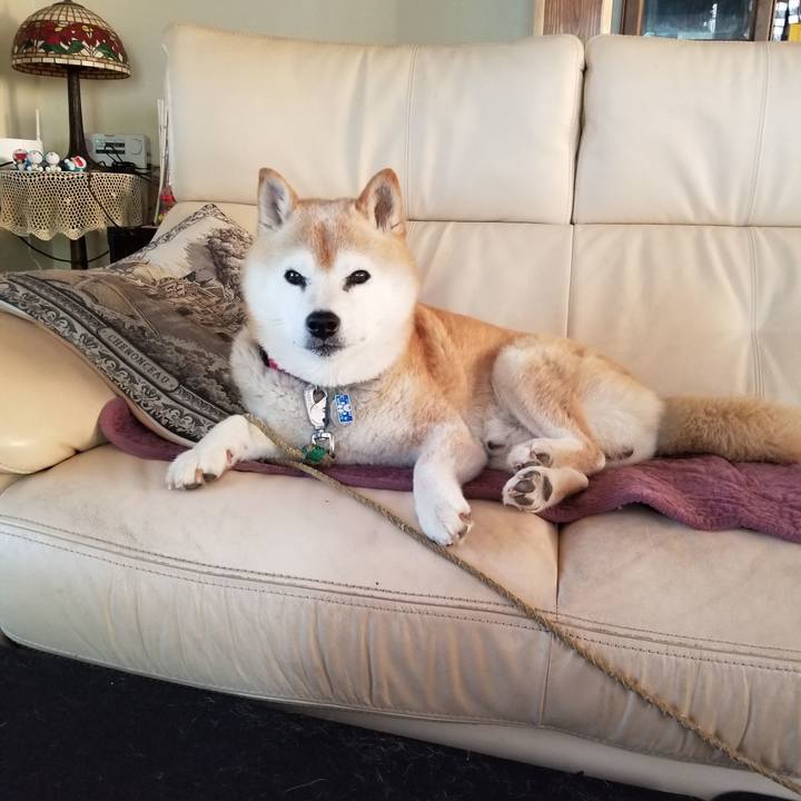 6451ca54 fc38 48e9 b524 aa2c8accd78b 1718412951418