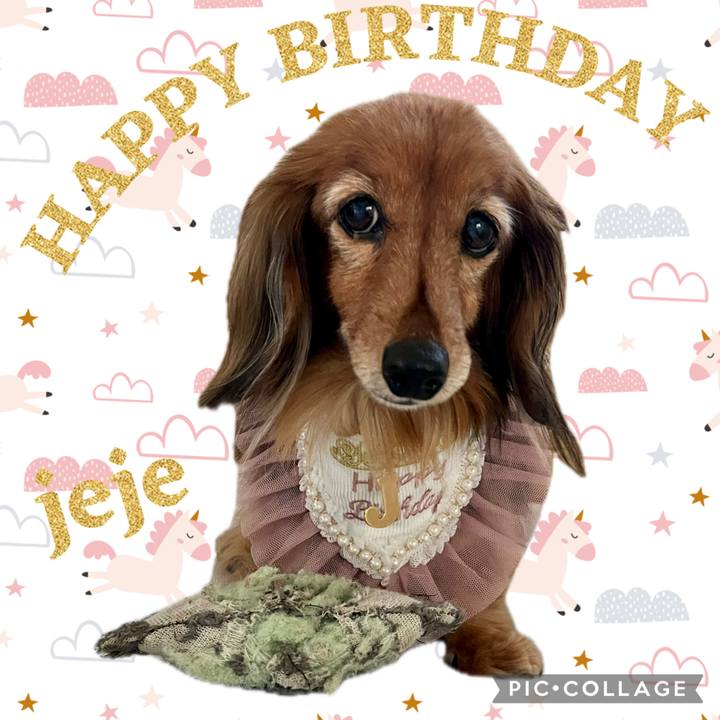 6451d855 eb9d 41ae 8d0b 3104b8f0c3ea 1765871254008