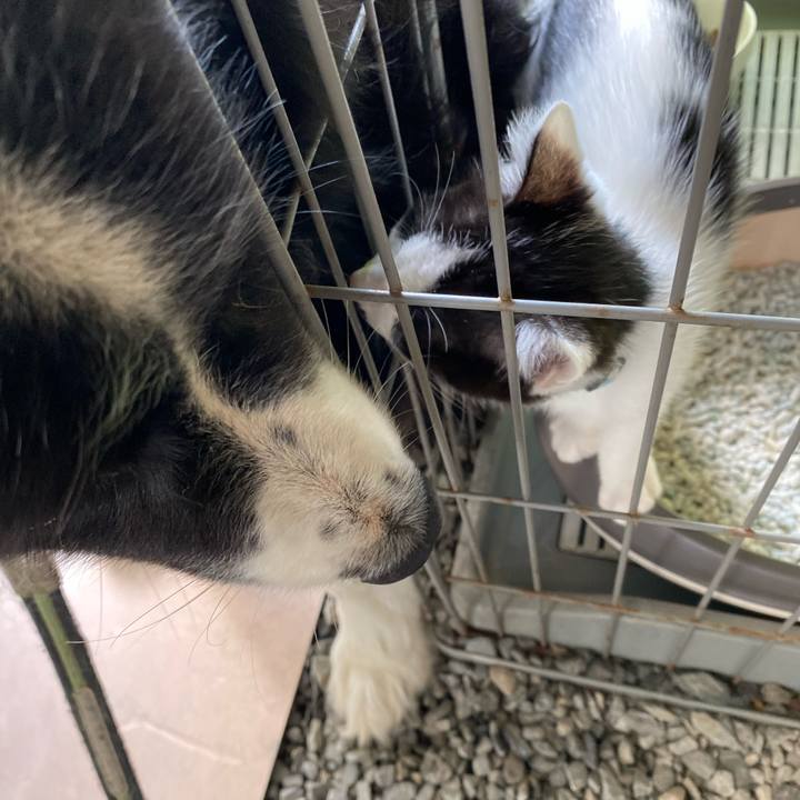 6451ef39 bc23 4f34 ad8f f6634d621514 1655855187253