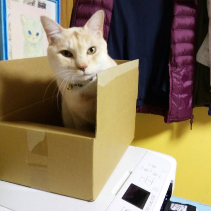 64520557 1d8e 4caf 9c88 2f37f22a25b1 1511706288478