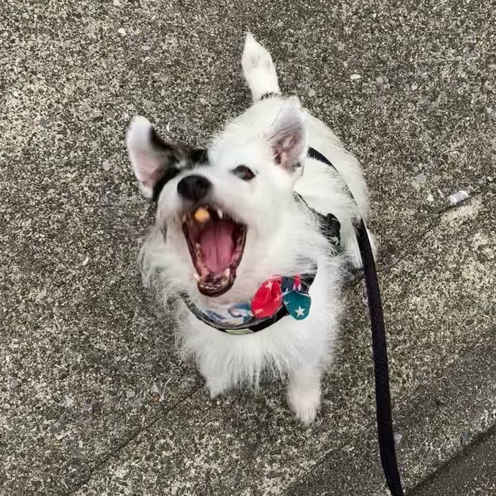 64520f4a 543d 45d4 b204 0103bdb10b99 1757372228325