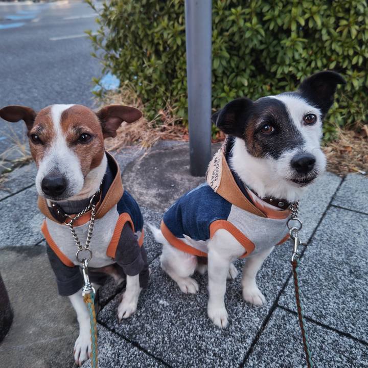 645214c5 8b61 455d be16 ef1bdfc82fa7 1738705548017