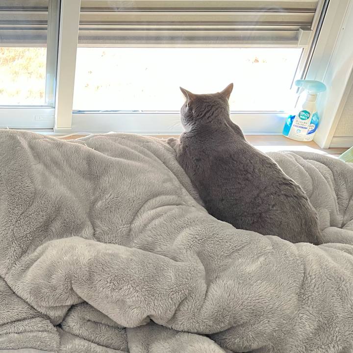 64521588 7f6b 4b57 82d9 35733dd80750 1769303118923