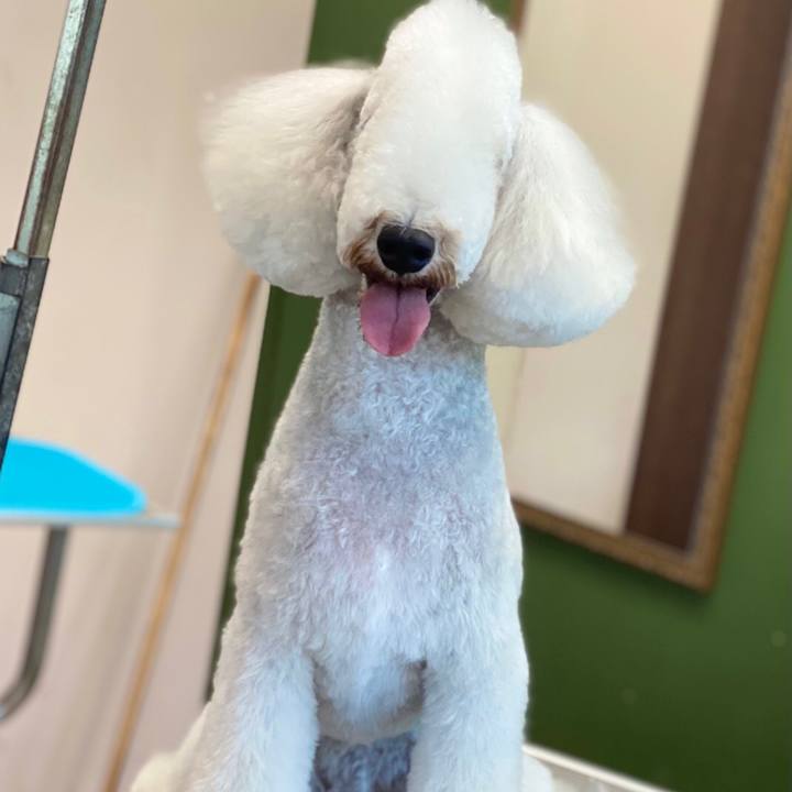 645241fe 4ffa 415b 9c5c 648dcaaf6f1b 1633247018995