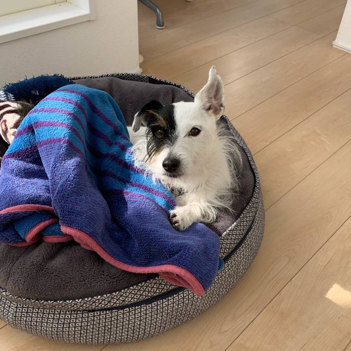 64524589 f682 4935 a24b abf2d7c03d2f 1676596480282