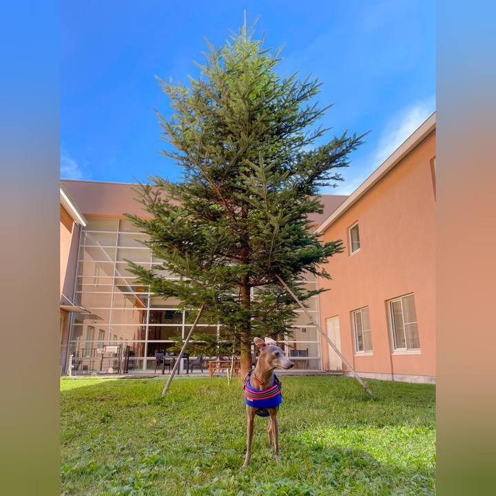 6452619c 70c4 448b a1bb 790247e5ec74 1758366991897