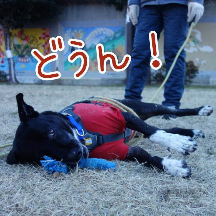 645263c0 1b71 4a86 b662 e87664e9ab97 1640479964380