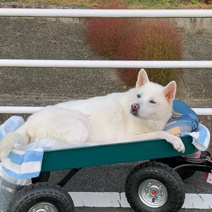 6452ab9c 6c75 4f40 9969 bd612cf3e456 1570658521231