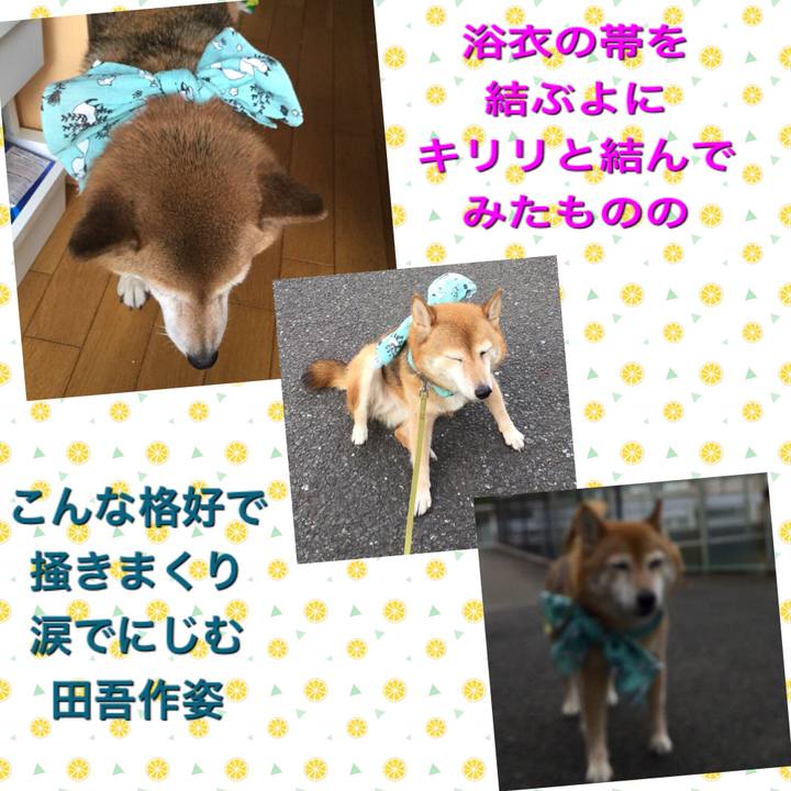 6452e566 f312 45c4 868d 6ebfdd07a097 1627289411200