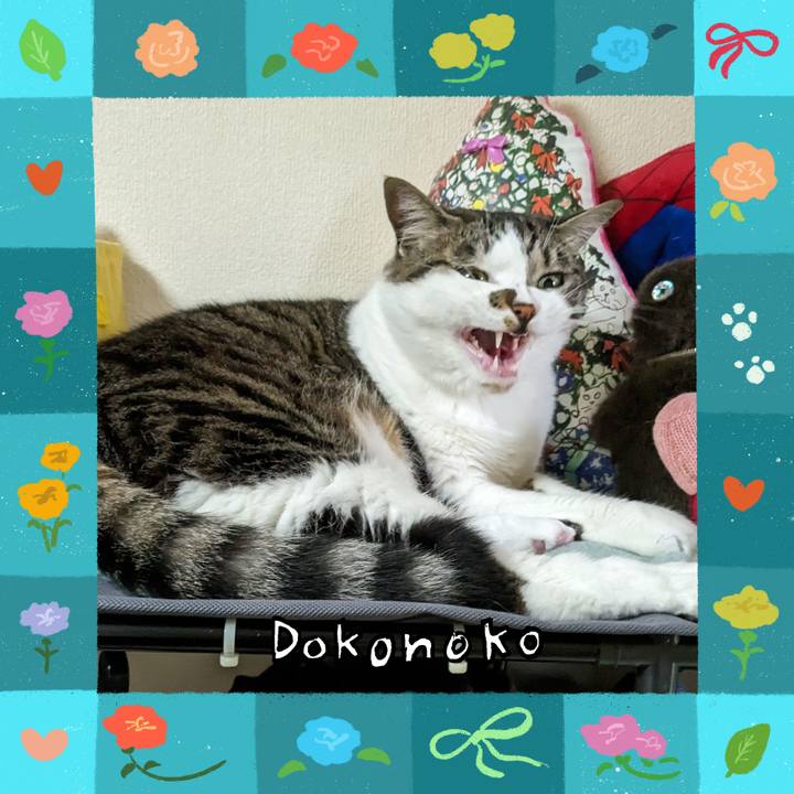 64530cb3 2ec3 4713 9639 407752577c99 1714887655924