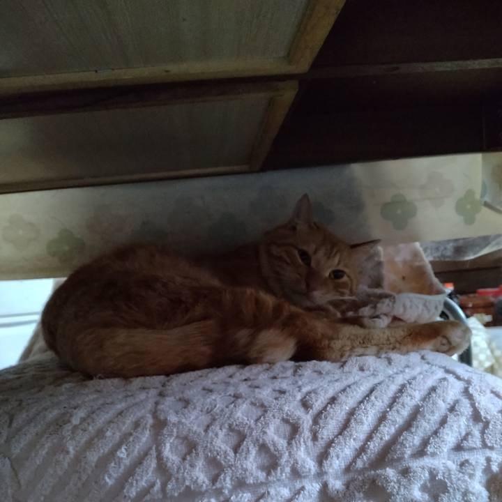 64531e24 43ba 4475 8d0b 9caab630ea3f 1665281456360