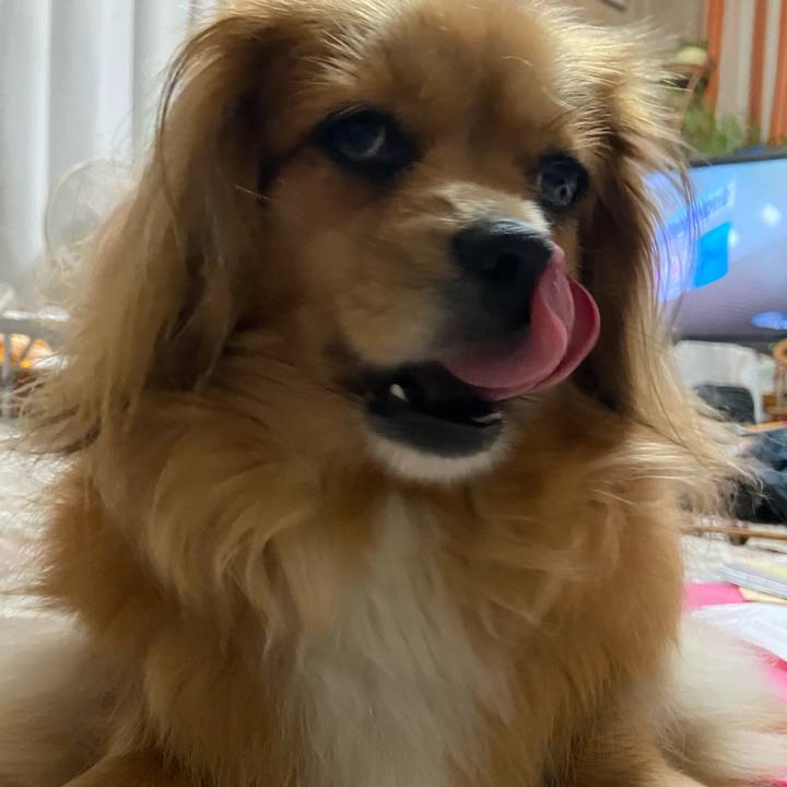 64532450 0558 48e1 bc3b d5d1a91e4966 1591999086798